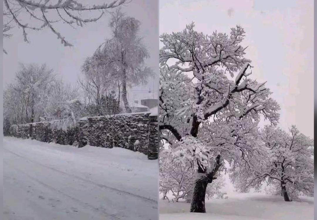 تساقط الثلوج بمرتفعات عين دراهم وغارالدماء